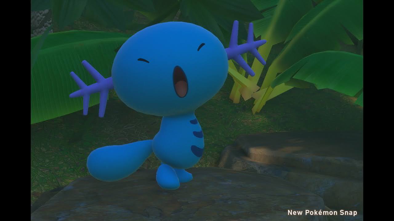 ポケモンスナップはジャングルへ よわたん