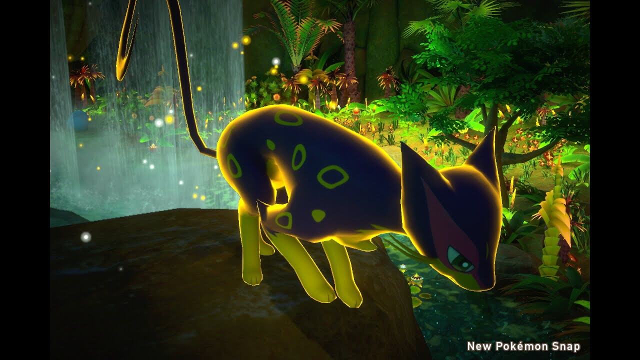 ポケモンスナップはジャングルへ よわたん